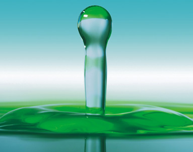 O Grupo Saniambiente - Efici&ecirc;ncia, Profissionalismo e Qualidade em todos os servi&ccedil;os prestados